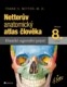 Netterův anatomický atlas člověka - Překlad 8. vydání