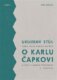 Uklizený stůl - aneb Moje druhá knížka o Karlu Čapkovi a opět s jedním přívažkem o Josefovi