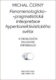 Fenomenologicko-pragmatistická interpretace hyperkonektivistického světa