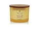 Vonná svíčka CHESAPEAKE BAY CANDLE Strength Energy 312g / 3 knoty