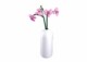 Sluban Flowers M38-B1101-12 Orchidej ve váze