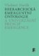 Hierarchická emergentní ontologie a univerzální princip emergence