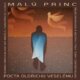 Malý princ - Pocta Oldřichu Veselému (CD)