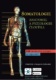 Somatologie Anatomie a fyziol. Člověka
