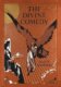 Divine Comedy