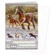 Sešit A5, 40 listů, typ 544 Wild horses