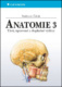 Anatomie 3
