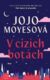 V cizích botách (e-kniha)
