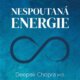 Nespoutaná energie - Ucelený program k překonání chronické únavy (CD)