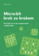 Micro:bit krok za krokem (e-kniha)