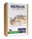 Merkur Dino Ankylosaurus