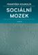 Sociální mozek (e-kniha)