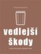 Vedlejší škody - Sociální nerovnosti v globálním věku