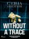 Without a Trace: A Sara Vallén Thriller (e-kniha)
