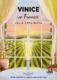 Vinice ve Francii (e-kniha)