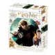 Harry Potter 3D puzzle - Ron Weasley 300 dílků