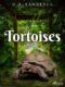 Tortoises (e-kniha)