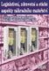 Legislativní, zdravotní a etické aspekty náhradního mateřství