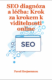 SEO diagnóza a léčba (e-kniha)