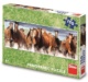 Puzzle 150 Koně ve vodě panoramic