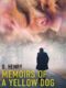 Memoirs of a Yellow Dog (e-kniha)