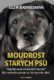 Moudrost starých psů - Největší moudrost šedivých čenichů? Být v pohodě a poznat, na čem opravdu zál