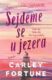 Sejdeme se u jezera (e-kniha)
