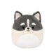 Squishmallows Pomsky Paolo