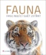 Fauna