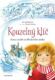 Kouzelný klíč – Konec duchů na Hlodavčím zámku (e-kniha)