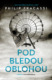Pod bledou oblohou