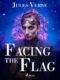 Facing the Flag (e-kniha)