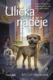 Ulička naděje