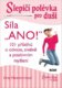 Slepičí polévka pro duši - Síla „ANO!“