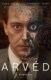 Arvéd