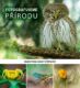 Fotografujeme PŘÍRODU (e-kniha)