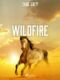 Wildfire (e-kniha)