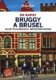 Brusel a Bruggy do kapsy - Lonely Planet