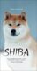 Shiba