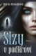 Slzy v podkroví