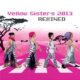 2013 REMIXED (2CD) (CD)