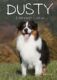 Dusty: Záchranář v nouzi (e-kniha)