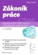 Zákoník práce v praxi - Komplexní průvodce s řešením problémů