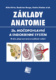 Základy anatomie 3b.