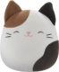 Squishmallows Kocour Cam