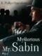 Mysterious Mr. Sabin (e-kniha)