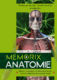 Memorix anatomie