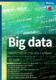 Big data (e-kniha)
