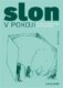 Slon v pokoji - O smrti a zármutku pro dospívající