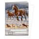 Sešit A5, 10 listů, typ 512 Wild horses